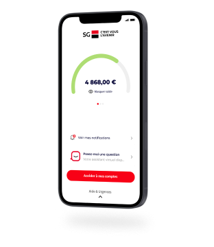 Solde et opérations en temps réel carte Visa Evolution